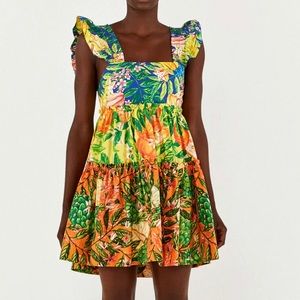 Farm Rio - Caipirinha Tiered Mini Dress Sz M 
100% Organic Cotton #FarmRio #Mini